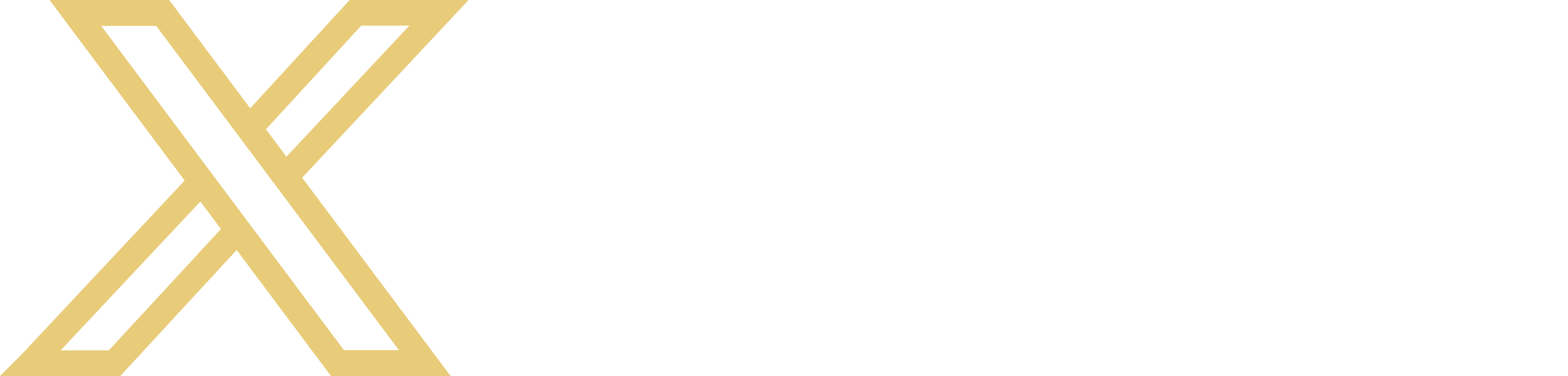 Xturka Logo